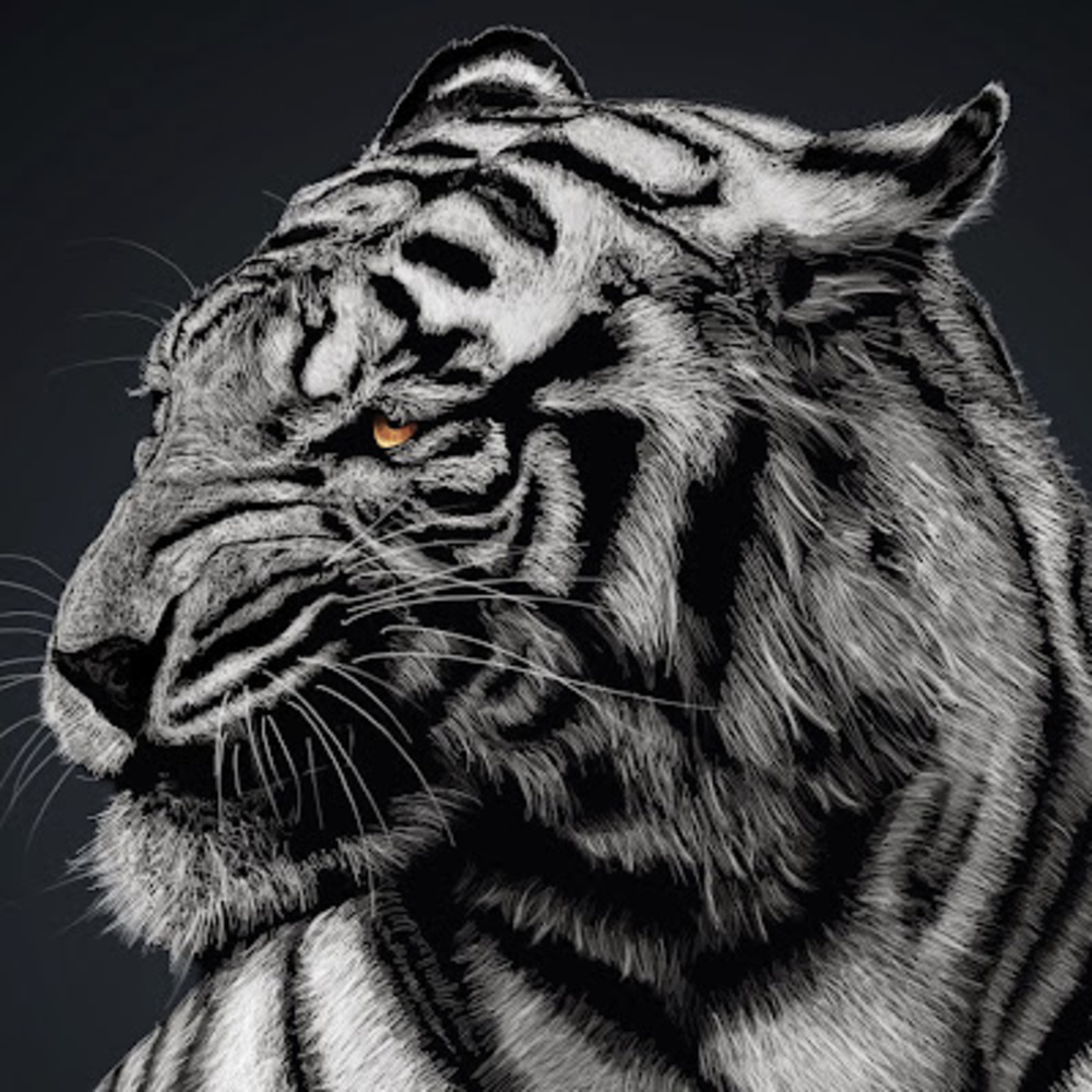 Meet your Posher, Marcus